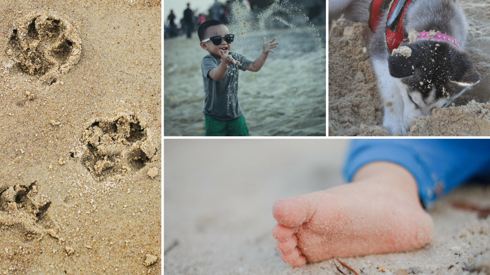 magicful home kids pets sand mess