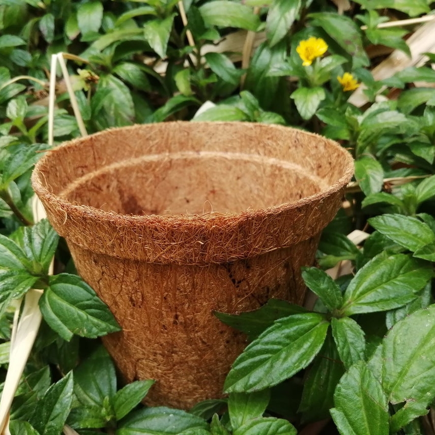 Coconut Husk Planter Pot